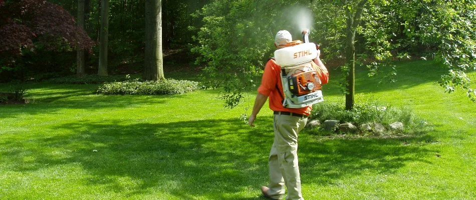 Lawn with fertilizer stripes in Muskegon, MI.