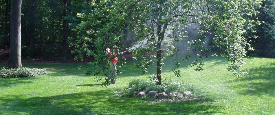 Person spraying mosquito treatment on property in Greenville, MI.