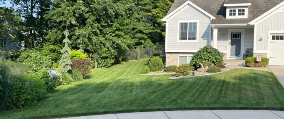 Mowed lawn in Hickory Corners, MI.