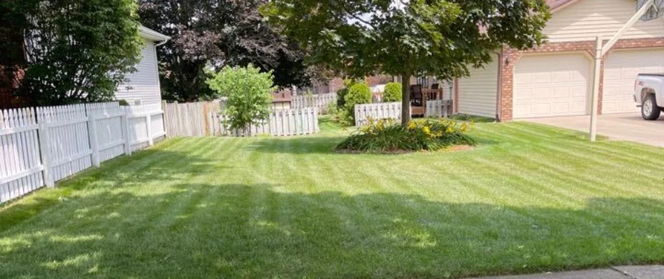 Green, mowed lawn in Portland, MI.