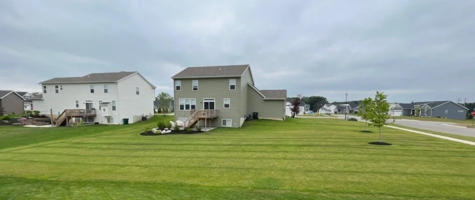 Lawn with fertilizer stripes in Nunica, MI, with a lawn, tree, and plant bed.