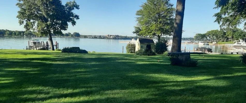 Lawn next to a lake in Coopersville, MI.