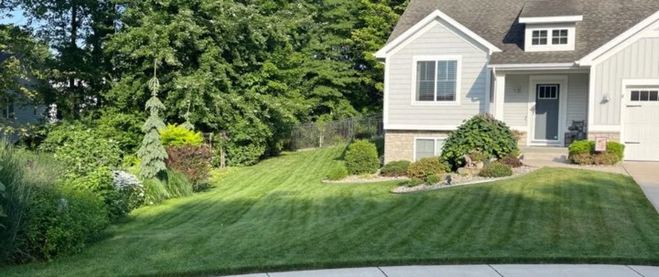 Residential lawn with mowing lines in Conklin, MI.