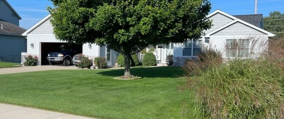 Lawn with large tree in Wayland, MI.