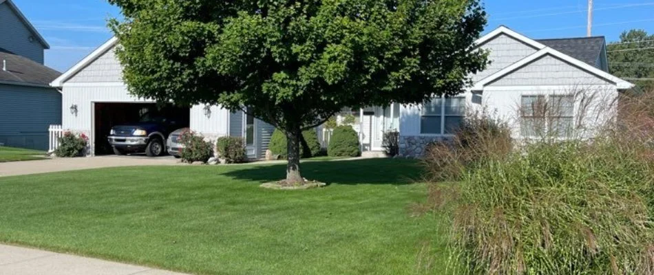 Residential lawn with big tree on a property in Forest Hills, MI.