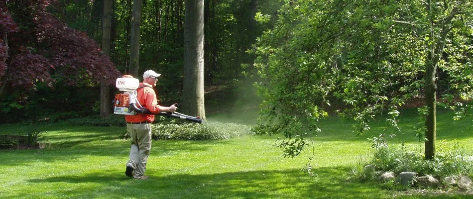 Tech applying mosquito control treatment on a lawn in Holland, MI.