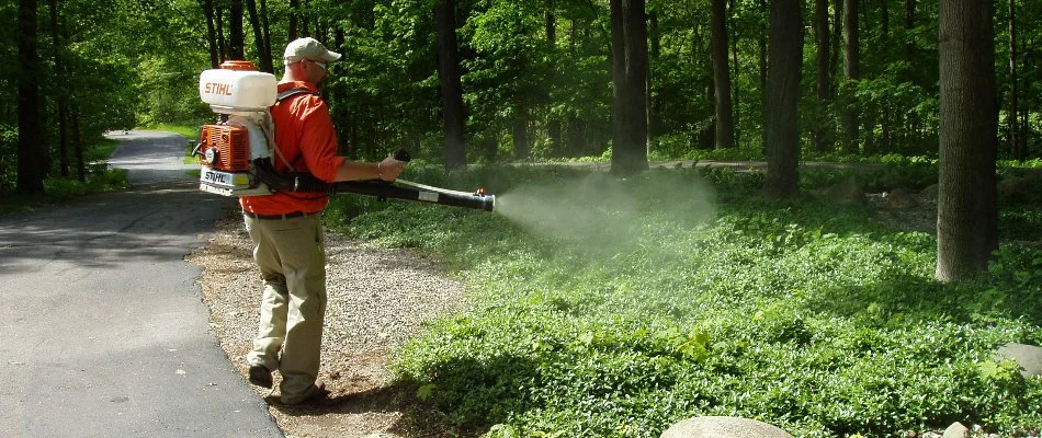 Tech misting for mosquitoes in Allendale Charter Township, MI.