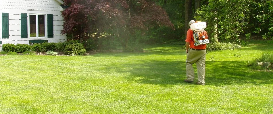 Tech on a lawn in Comstock Park, MI, treating for pests.