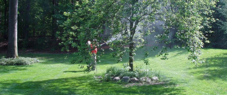 Tech treating for pests behind a tree in Galesburg, MI.