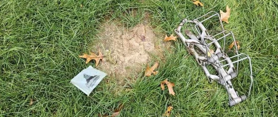 Trap on a lawn in Jamestown Charter Township, MI, for moles.