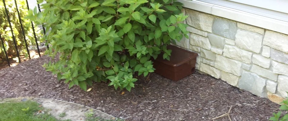 Landscape in Wyoming, MI, with trap station for chipmunks.