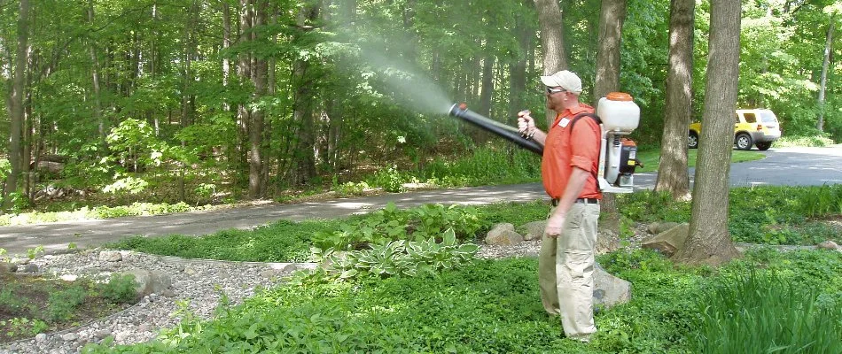 Worker applying a mosquito control treatment to a property in West Michigan.