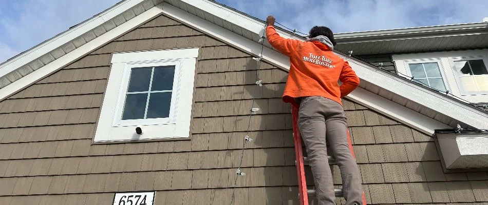 Worker on a ladder hanging holiday lights in Hamilton, MI.