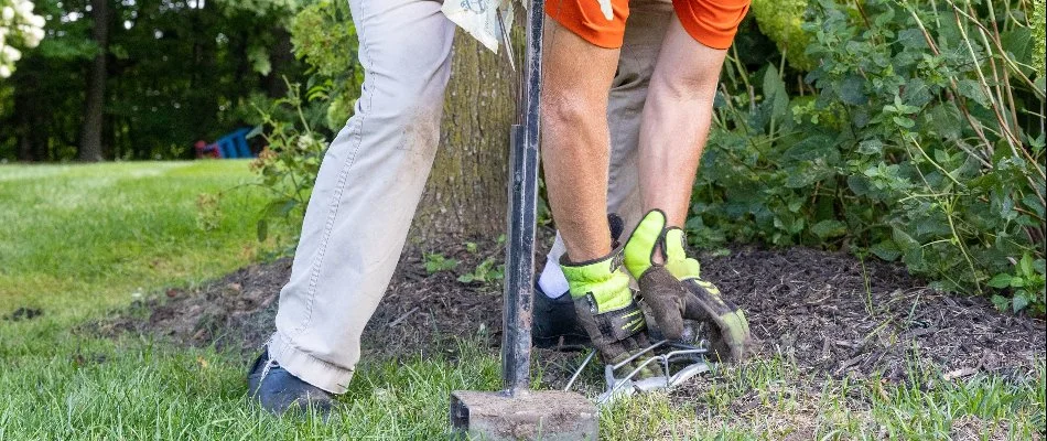 Worker setting a mole trap in Byron Center, MI. 