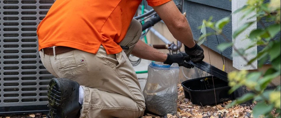 A worker in Grand Rapids, MI, setting up a chipmunk trap station.