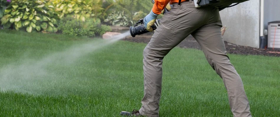 A worker in Grand Rapids, MI, spraying a lawn with a backpack mister.