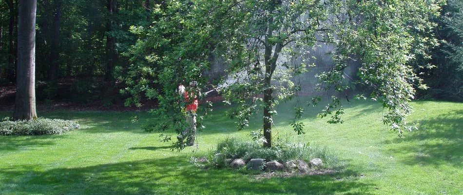 A worker in Paw Paw, MI, using a fogger behind a tree.
